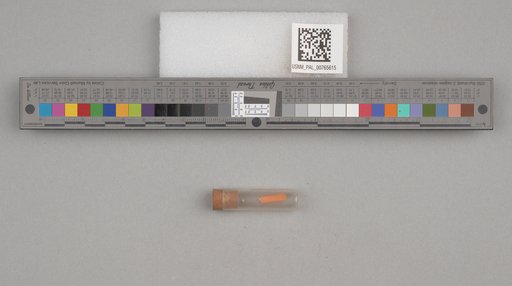 NSF ADBC EPICC TCN