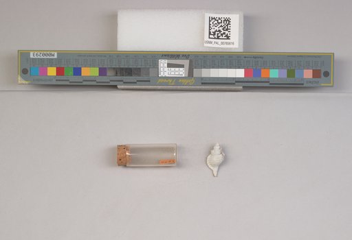 NSF ADBC EPICC TCN