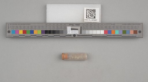 NSF ADBC EPICC TCN