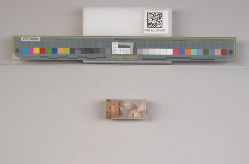 NSF ADBC EPICC TCN