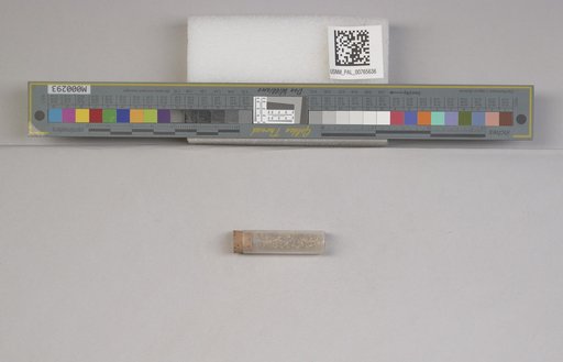 NSF ADBC EPICC TCN