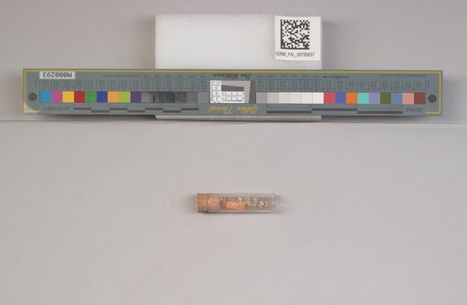NSF ADBC EPICC TCN