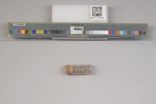 NSF ADBC EPICC TCN
