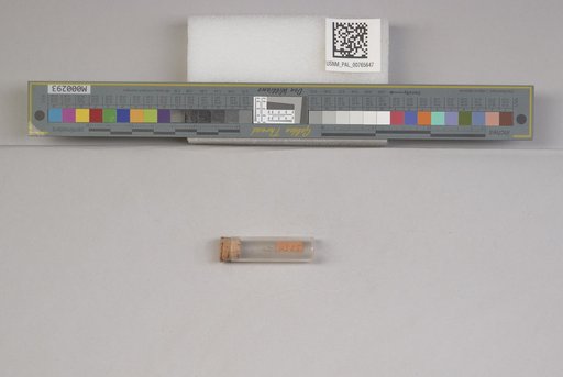 NSF ADBC EPICC TCN