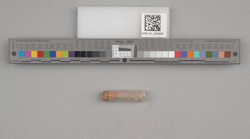 NSF ADBC EPICC TCN