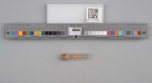 NSF ADBC EPICC TCN