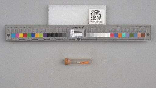 NSF ADBC EPICC TCN