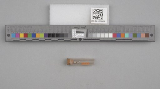 NSF ADBC EPICC TCN