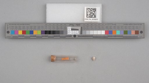 NSF ADBC EPICC TCN