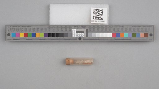 NSF ADBC EPICC TCN