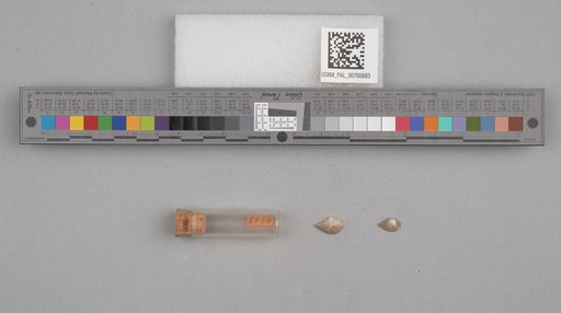 NSF ADBC EPICC TCN
