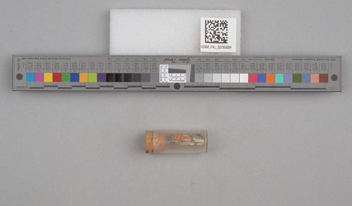 NSF ADBC EPICC TCN
