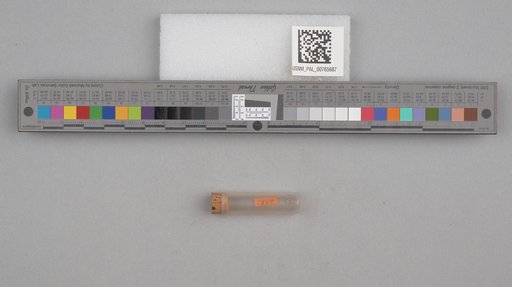 NSF ADBC EPICC TCN