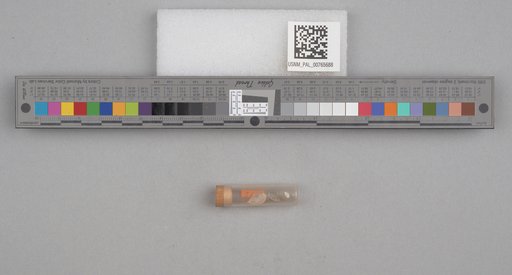 NSF ADBC EPICC TCN