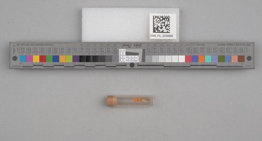 NSF ADBC EPICC TCN