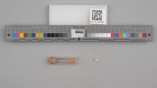 NSF ADBC EPICC TCN