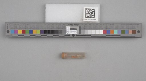NSF ADBC EPICC TCN