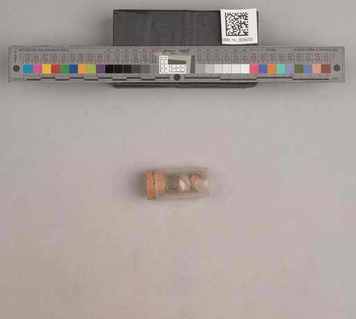 NSF ADBC EPICC TCN