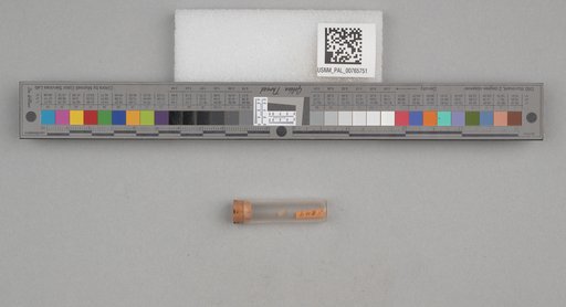 NSF ADBC EPICC TCN