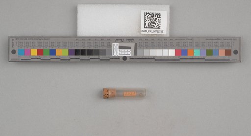 NSF ADBC EPICC TCN