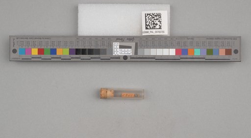 NSF ADBC EPICC TCN
