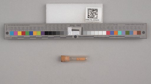 NSF ADBC EPICC TCN
