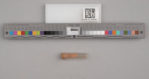 NSF ADBC EPICC TCN