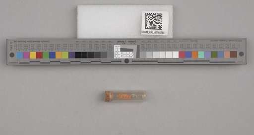 NSF ADBC EPICC TCN
