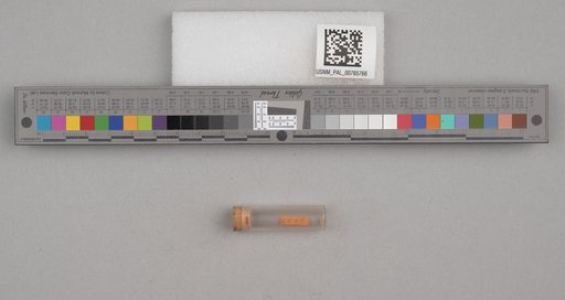 NSF ADBC EPICC TCN