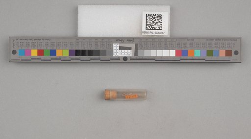 NSF ADBC EPICC TCN