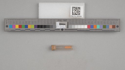 NSF ADBC EPICC TCN