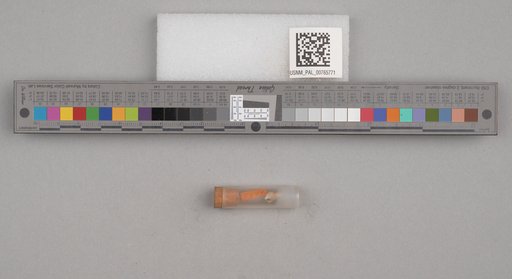 NSF ADBC EPICC TCN