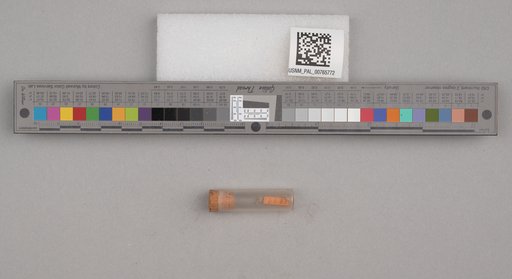 NSF ADBC EPICC TCN