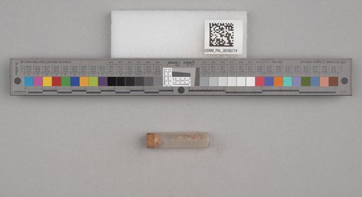 NSF ADBC EPICC TCN