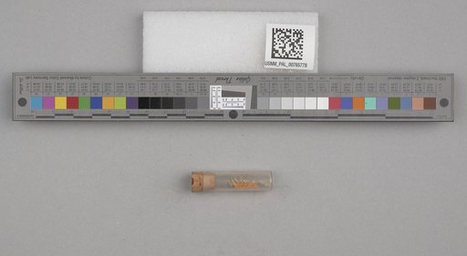 NSF ADBC EPICC TCN