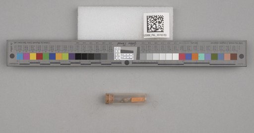 NSF ADBC EPICC TCN