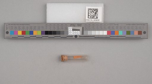 NSF ADBC EPICC TCN