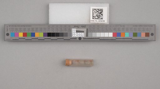 NSF ADBC EPICC TCN