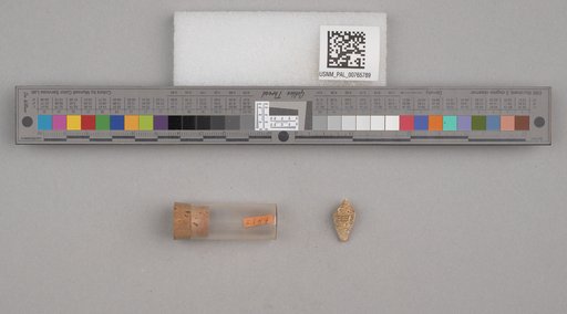 NSF ADBC EPICC TCN