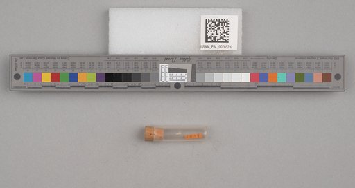NSF ADBC EPICC TCN