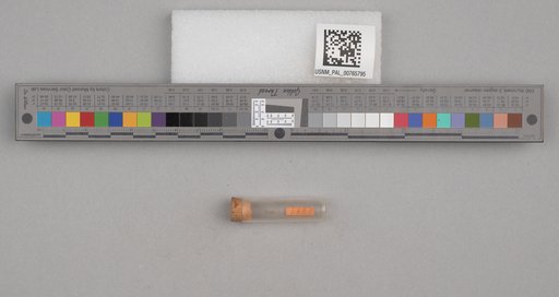 NSF ADBC EPICC TCN