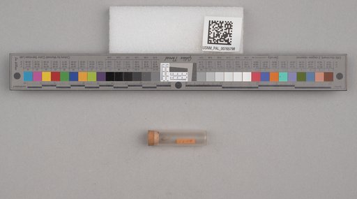 NSF ADBC EPICC TCN