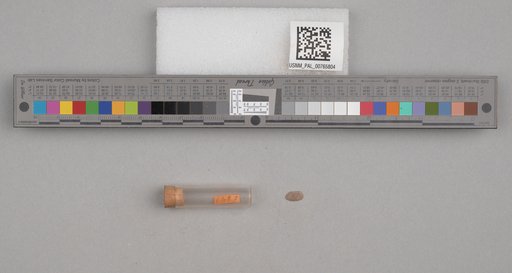 NSF ADBC EPICC TCN