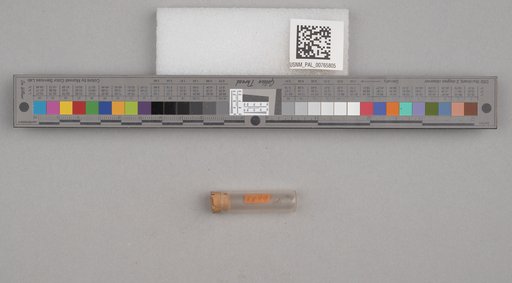 NSF ADBC EPICC TCN