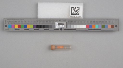 NSF ADBC EPICC TCN