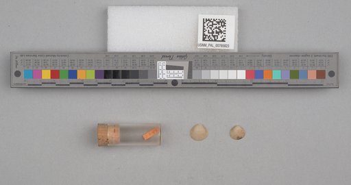 NSF ADBC EPICC TCN