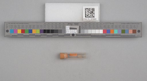 NSF ADBC EPICC TCN