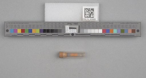 NSF ADBC EPICC TCN