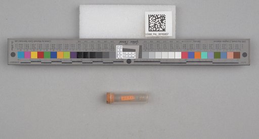 NSF ADBC EPICC TCN