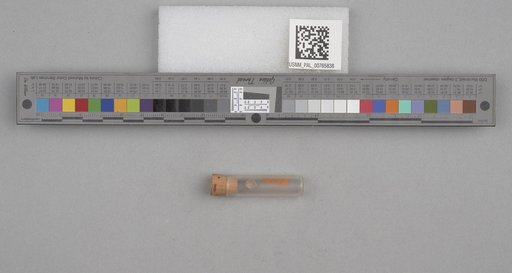 NSF ADBC EPICC TCN